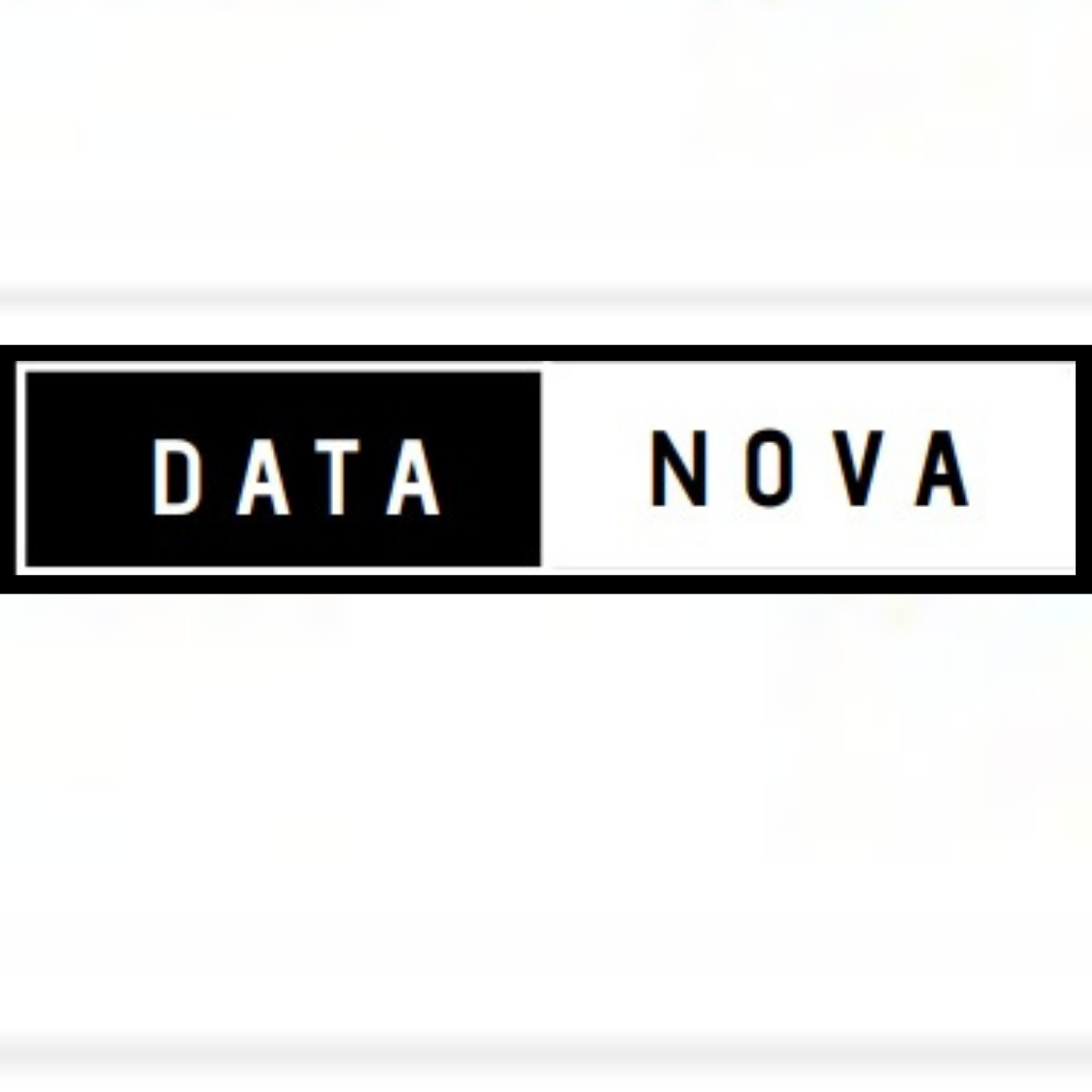 Data Nova logo